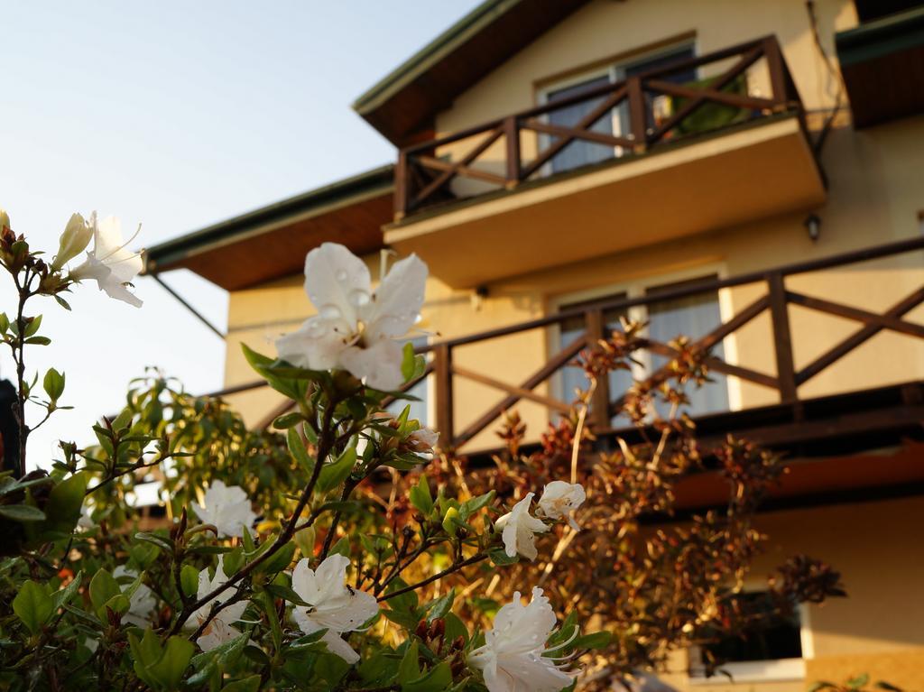 Anandaresort - Vegewakacje Władysławowo Buitenkant foto