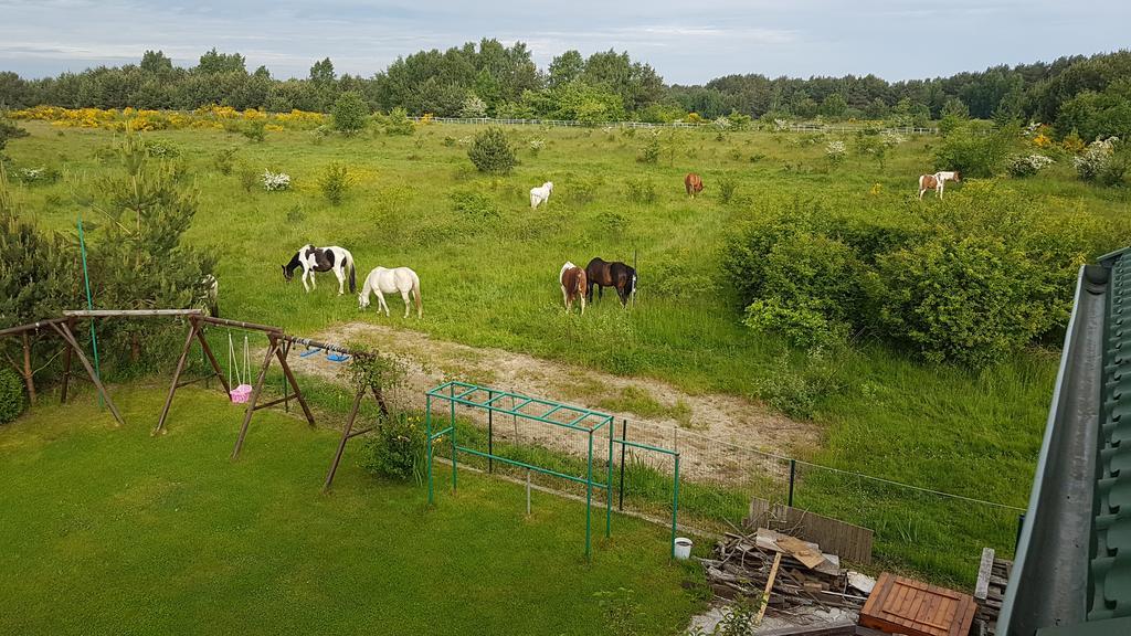 Anandaresort - Vegewakacje Władysławowo Buitenkant foto